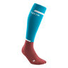 The Run Socks Tall v4